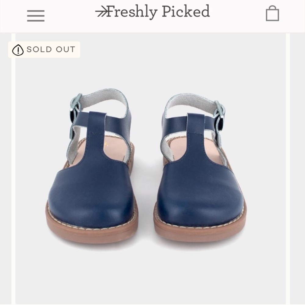 NWT Freshly Picked Newport Clog - Leather - Sz 3